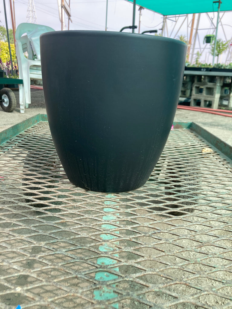 large egg pot planter Vaso Large Egg Pot – Ricardo's Nursery