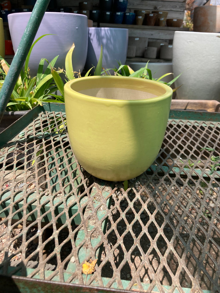 large egg pot planter VN Egg Pot – Ricardo's Nursery