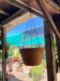 Azalea Hanging Pot