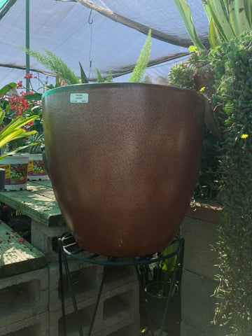 egg planter pots Glazed Egg Pot – Ricardo's Nursery