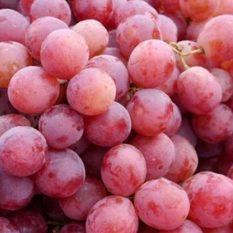 Grape Crimson Seedless